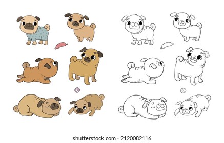 Cute cartoon pug set. Cheerful funny dog. Picture for the veterinarian. Vector. Clothing for puppies. Illustration for coloring books. Monochrome and colored versions. 