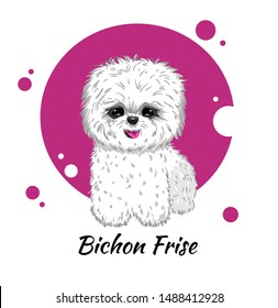 Cute cartoon puppy Bichon Frise is standing on pink background. Hand drawn vector illustration for t-shirt print, dog design. Sketh on isolated backgroud. 