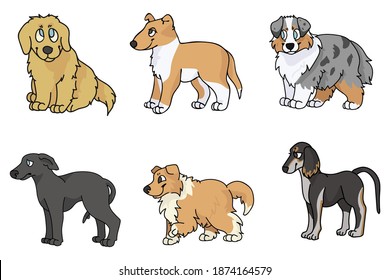 Cute cartoon puppy breed set vector clipart. Pedigree kennel rough collie, golden retriever for dog lovers. Purebred greyhound smooth collie and borzoi illustration. Isolated hunting hound. 