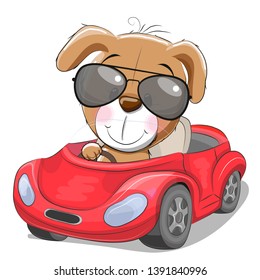Cute Cartoon Puppy in sunglasses goes on a red car isolated on a white background