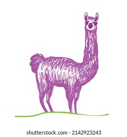 Cute cartoon purple llama vector illustration