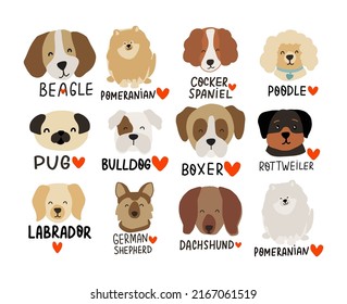 Cute cartoon pyppy dogs set. Puppy beagle, gold retriever, labrador, pomeranian, poodle, pug, bulldog, boxer, dachshund, cocker spaniel. Home pets dog lovers vector design. 