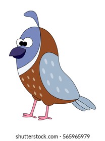 Cute cartoon quail.