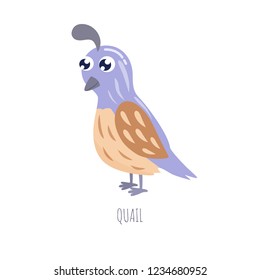 Cute cartoon quail vector illustration.