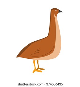 Cute cartoon quail vector illustration