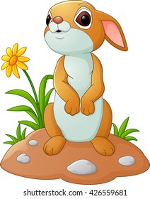 Cute cartoon rabbit