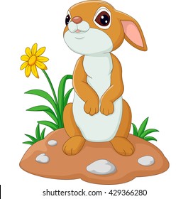 Cute cartoon rabbit