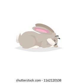 Cute cartoon rabbit asleep. Flat comic style farm animal drawing. Easter spring symbol. Vector illustration with shadow isolated on white background.