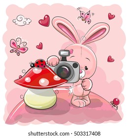 Cute cartoon Rabbit with a camera on the meadow