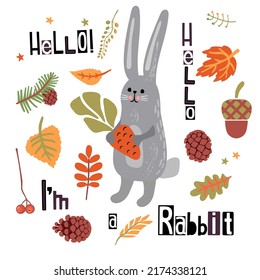 Cute cartoon rabbit with carrot and lettering.Animal character with  autumn leaves, pine cones, acorns, berries.Colorful background for printing on fabric and paper.Vector isolated illustration.