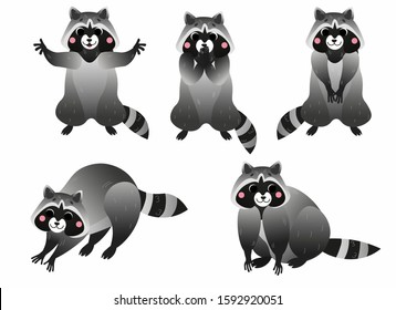 Cute cartoon raccoon vector set. Raccoon in different postures. Standing raccoon, hugs, washing and sitting raccoon. Forest animals for kids. Isolated on white background