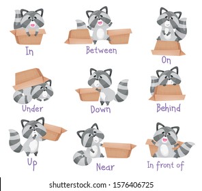 Cute Cartoon Raccoons Vector Illustration Set With Different Poses And Handwritten Inscriptions Of Prepositions