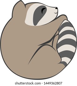 Cute cartoon racoon ball.  Raccoon curled up happily.  Vector art isolated in transparent / white background.  Other matching animals also availabl.