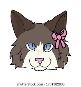 Cute cartoon ragdoll cat face with pink bow vector clipart. Pedigree kitty breed for cat lovers. Purebred domestic cat for pet parlor illustration mascot. Isolated feline housecat. EPS 10.