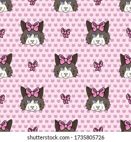 Cute cartoon Ragdoll cat face with pink bow seamless vector pattern. Pedigree kitty breed domestic kitten background. Cat lover purebred all over print. Feline EPS 10.