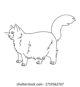 Pieza portadora monocromática lineart portadora de caricatura. Cría de gatitos pedigrí para los amantes de los gatos. Gato doméstico de purebred para mascota ilustrativa de salón de mascotas. Housecat felino aislado. EPS 10. 