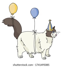 Cute cartoon ragdoll cat with party hat vector clipart. Pedigree kitty breed for cat lovers. Celebration kitten for pet parlor illustration mascot. Isolated feline housecat. EPS 10.