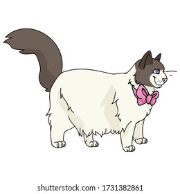 Cute caricatura ragdoll cat con arco rosa clíparte vectorial. Raza de gatito pedigrí para los amantes de los gatos. Gato doméstico de Purebred para mascota ilustrativa de salón de mascotas. Housecat felino aislado. EPS 10.