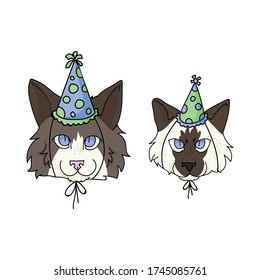 Cute cartoon ragdoll kitten and cat face with party hat vector clipart. Pedigree kitty breed for cat lovers. Celebration for pet parlor illustration mascot. Isolated feline housecat. EPS 10.