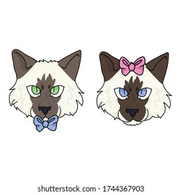 Dibujo lindo Ragdoll gatito cara niño y chica gato vector clipart. Raza de gatito pedigrí para los amantes de los gatos. Ánimo de gatito rojo para salón de mascotas con arco. Ilustración de la línea recta EPS 10.