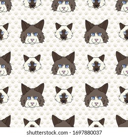 Cute cartoon Ragdoll pet cat and kitten face seamless vector pattern. Pedigree kitty breed domestic kitten background. Cat lover purebred all over print. Feline EPS 10.