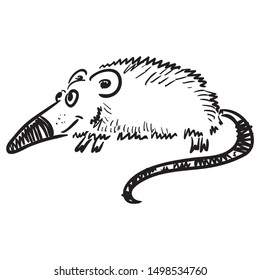 Cute cartoon rat. Sketch. Vector illustration