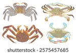 Cute cartoon raw Crab. Blue, Green Crab, King Crab and Mangrove tree Crab isolated on white. Sea food vector illustration set.