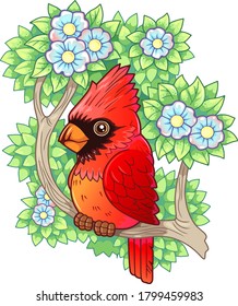 cute cartoon red cardinal bird, funny illustration