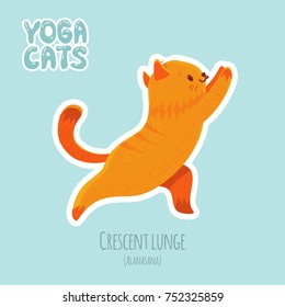 Cute cartoon red cat practicing yoga for beginners. Sticker with titles of yoga poses