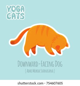 Cute cartoon red cat practicing yoga for beginners. Sticker with titles of yoga poses