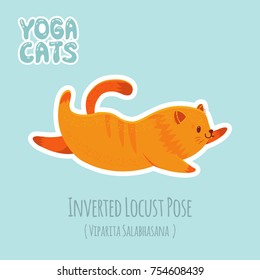 Cute cartoon red cat practicing yoga for beginners. Sticker with titles of yoga poses