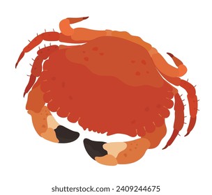 Cute cartoon red crab illustration.