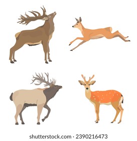 Cute cartoon Red deer and elk, wild animal vector illustration set.