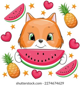 Cute cartoon red fox holding a watermelon. Summer animal vector illustration with fruits, hearts and stars.
