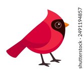 Cute cartoon red Northern Cardinal bird.  Simple vector clip art illustration.