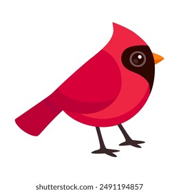 Cute cartoon red Northern Cardinal bird.  Simple vector clip art illustration.