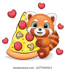 Cute cartoon red panda with a big piece of pizza. Vector illustration of animal on a white background with red hearts.