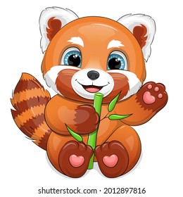 Cute cartoon red panda eating bamboo. Vector illustration of an animal on a white background.