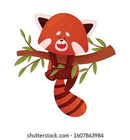 Cute Cartoon Red Panda Hanging on Tree Branch Vector Illustration