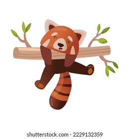 Cute cartoon red panda hanging on a bamboo branch. Vector illustration of Chinese animal character from wild forest or pet from zoo. Wildlife nature concept