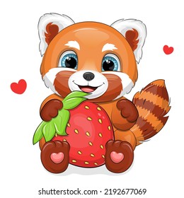 Cute cartoon red panda holds a strawberry. Vector illustration of animal on white background.