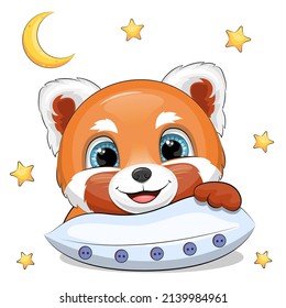 Cuto dibujo animado rojo panda con una almohada. Ilustración vectorial de animales nocturnos aislada sobre fondo blanco con estrella y luna.