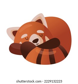 Cute cartoon red panda sleeps curled up in ball and covered with tail. Vector illustration of Chinese animal character from wild forest or pet from zoo. Wildlife nature concept