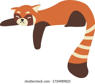 Cute Cartoon red panda, Vector illustration red panda on a white background. Drawing for children