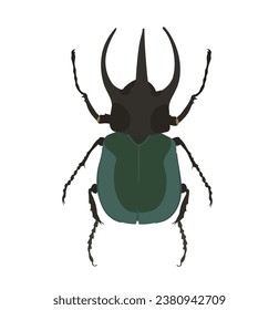 Cute cartoon Rhinoceros Beetle. Vector funny insect illustration.