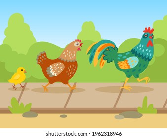 Cute cartoon rooster, hen and chick walking outside in summer. Family of domestic birds, flat vector illustration. Countryside, nature, farm, summer, agriculture, family concept