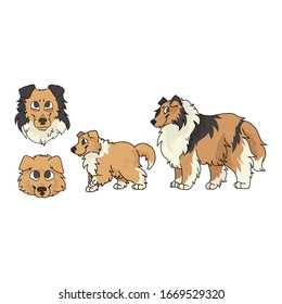 Cute cartoon rough collie dog and puppy set breed vector clipart. Pedigree kennel doggie breed for dog lovers. Purebred domestic for pet parlor illustration mascot. Isolated canine hunting hound. 