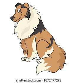 Cute cartoon Rough Collie dog sitting, vector clipart. Pedigree kennel doggie breed for kennel club. Purebred domestic puppy training for pet parlor illustration mascot. Isolated canine hunting breed