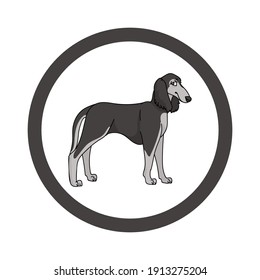 Cute cartoon Saluki in circle dog vector clipart. Pedigree kennel doggie breed for kennel club. Purebred domestic dog training for pet parlor. Illustration mascot. Isolated canine. 