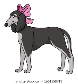 Cute cartoon saluki dog with girly bow vector clipart. Pedigree kennel doggie breed for dog lovers. Purebred domestic for pet parlor illustration mascot. Isolated canine borzoi hound. EPS 10. 